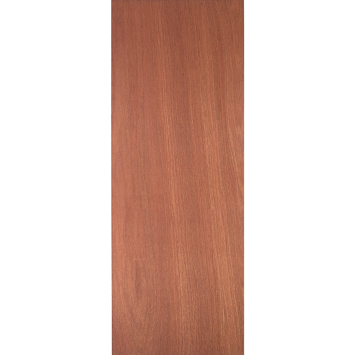 Masonite 24 In. W. x 80 In. H. Lauan Wood Interior Hollow Core Door Slab