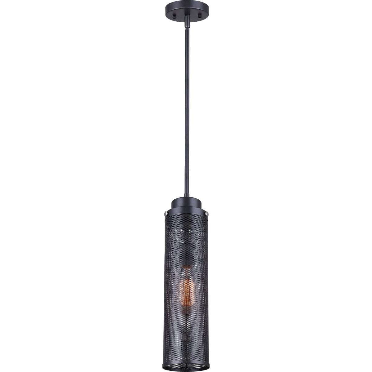 Home Impressions Rey 1-Bulb Graphite Incandescent Pendant Light Fixture