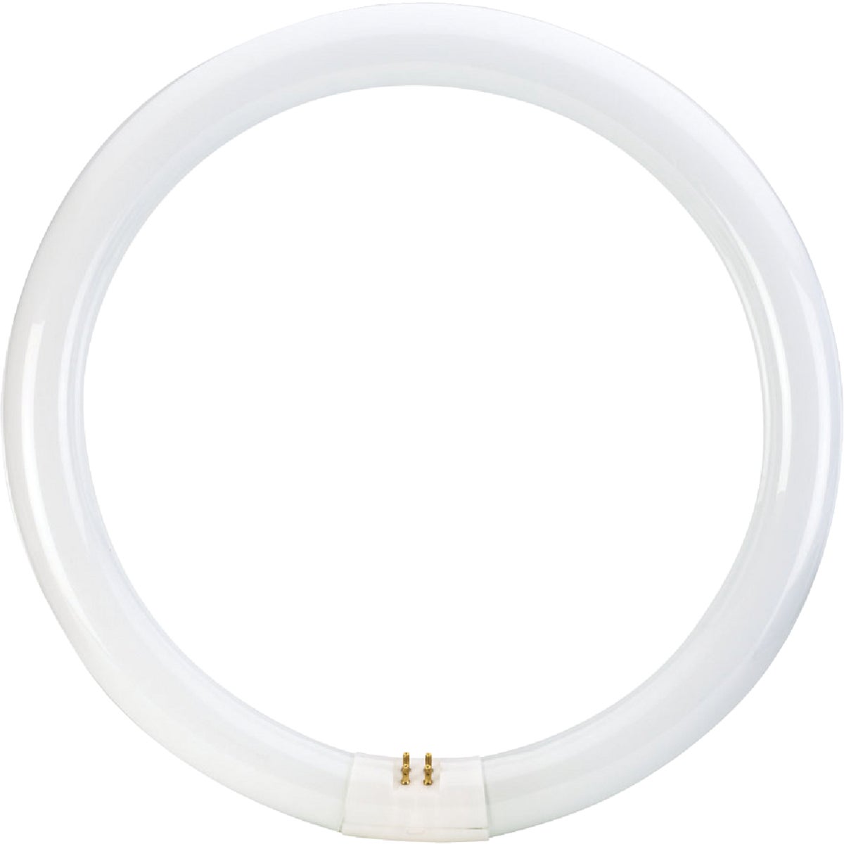 Philips 32W 12 In. Cool White T9 4-Pin Circline Fluorescent Tube Light Bulb