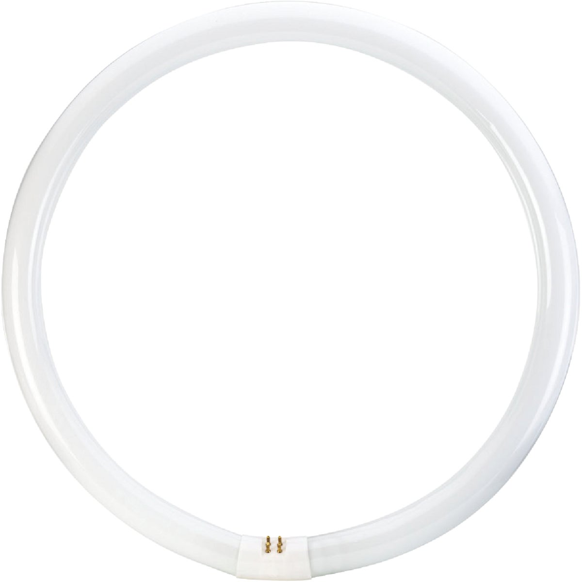 Philips 40W 16 In. Cool White T9 4-Pin Circline Fluorescent Tube Light Bulb