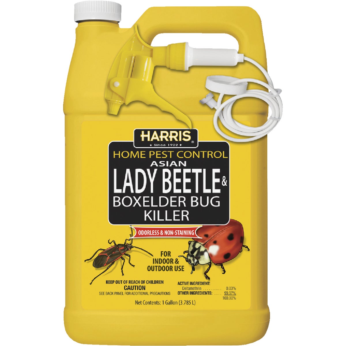 Harris 128 Oz. Ready To Use Trigger Spray Asian Lady Beetle Killer