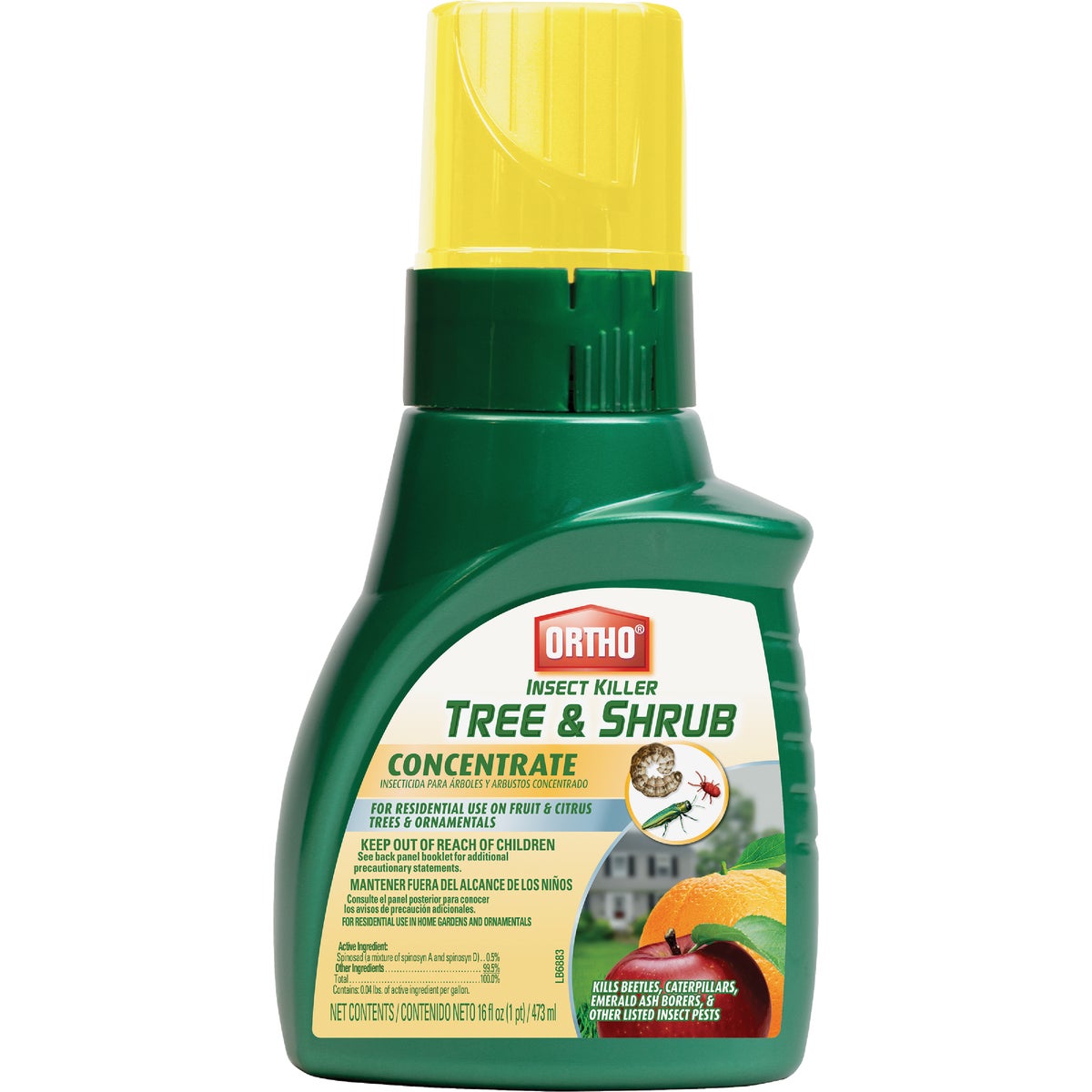 Ortho 16 Oz. Concentrate Tree & Shrub Insect Killer