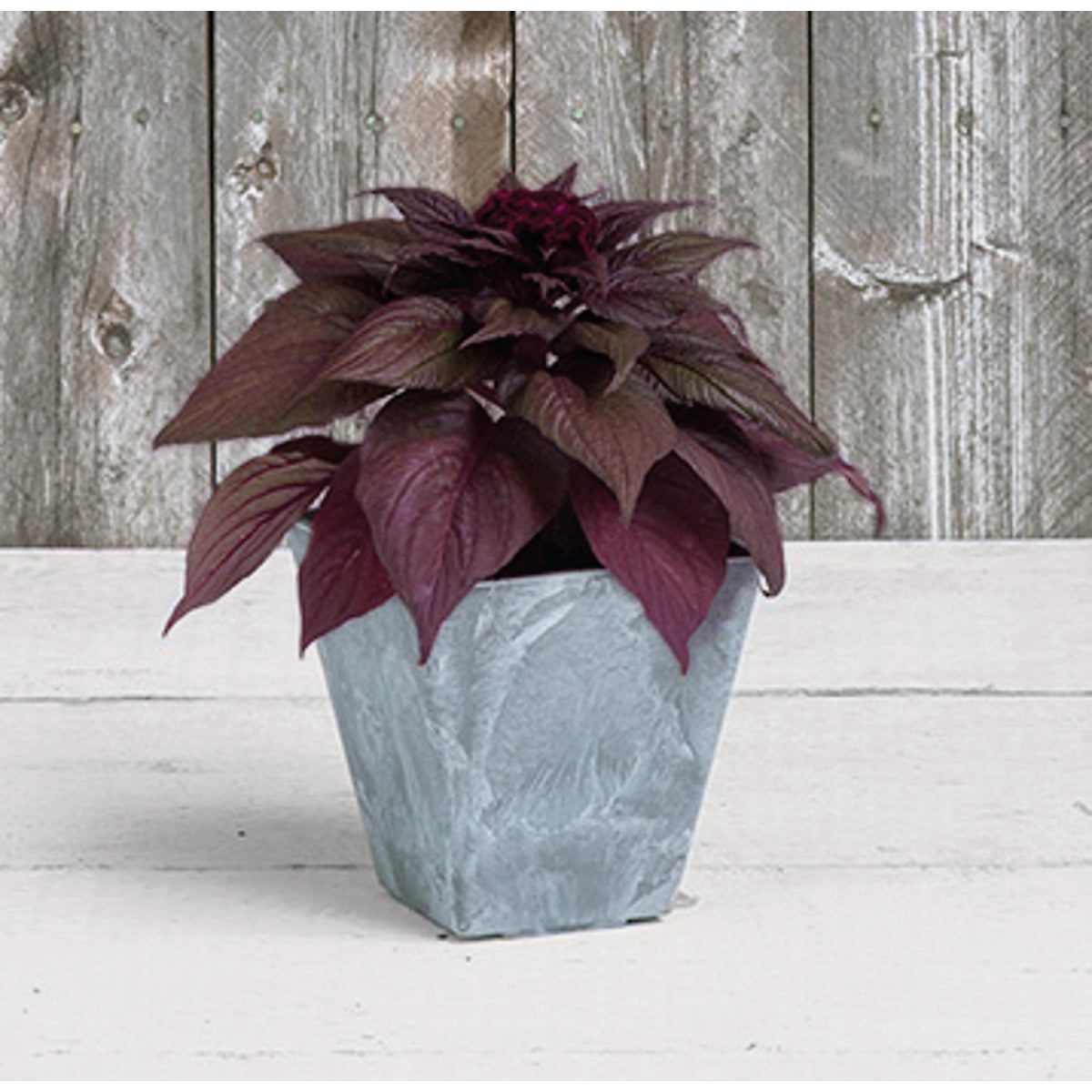 Novelty ArtStone Ella 6 In. W. x 6 In. H. x 6 In. L. Gray Resin Planter