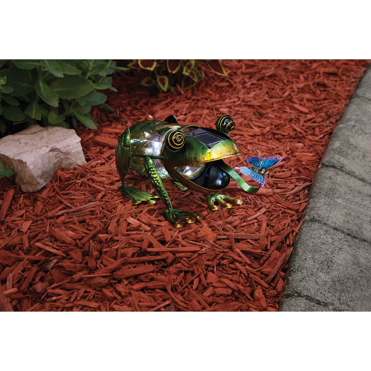 Outdoor Expressions 5.5 In. H. Frog Solar Light