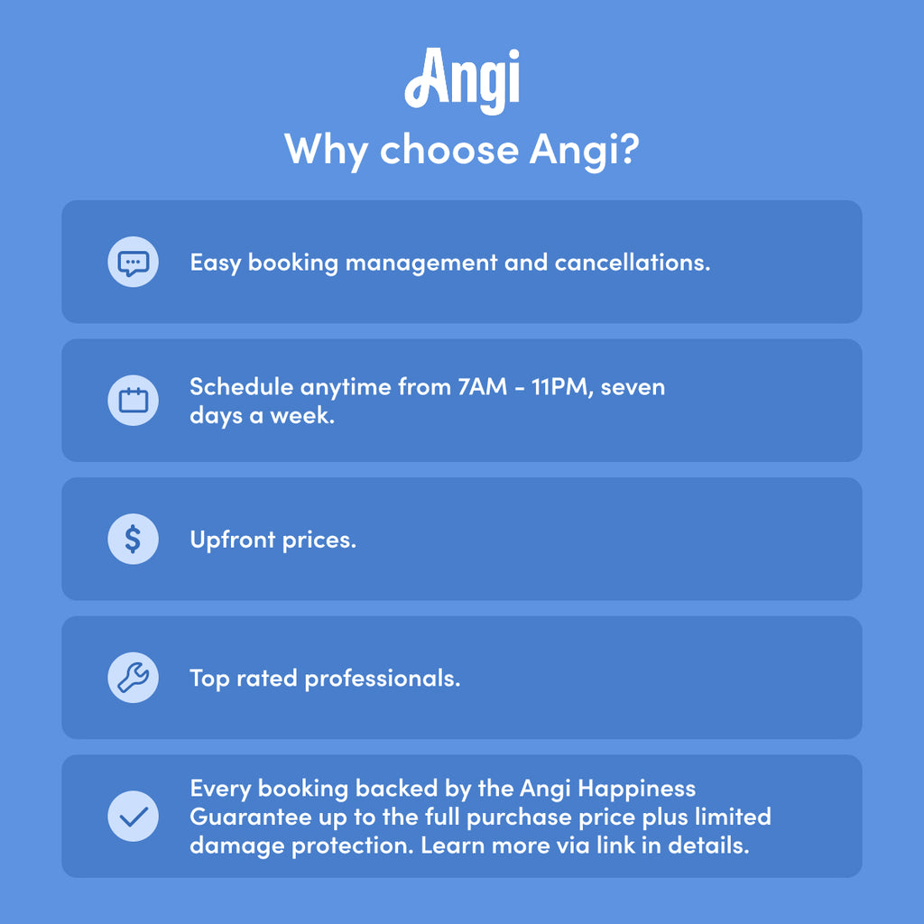 Tushy Why Angi