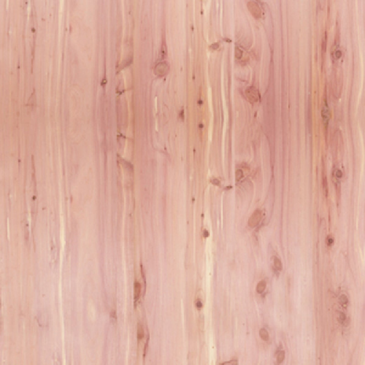 Global Product Sourcing 4 Ft. x 8 Ft. x 1/4 In. Red Cedar Panel Veneer