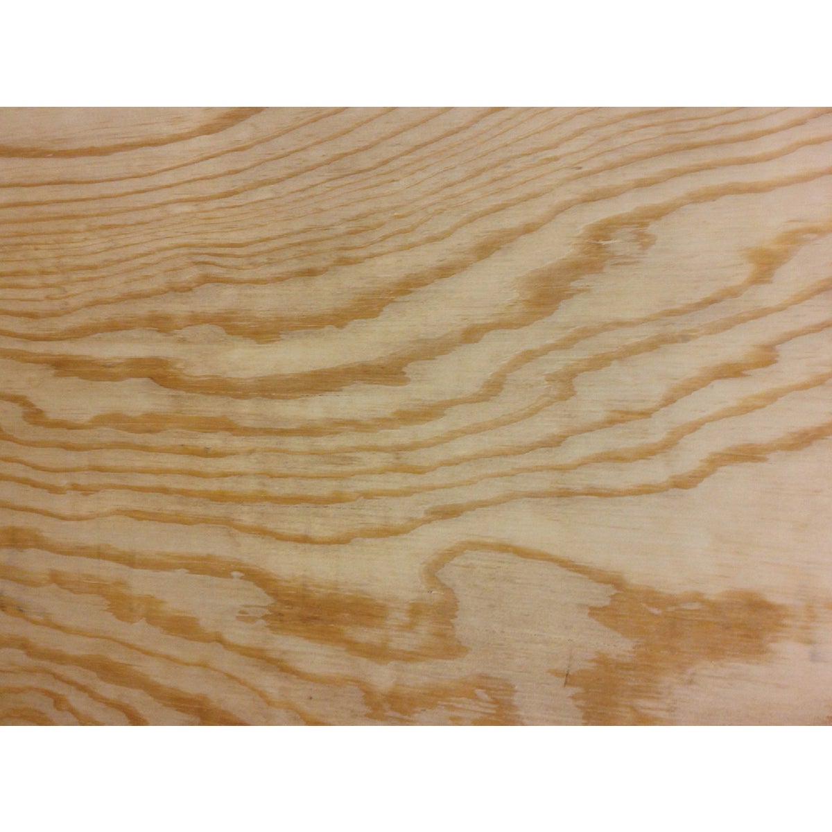 Universal Forest Products 3/8 In. x 24 In. x 24 In. BCX Pine Plywood Panel