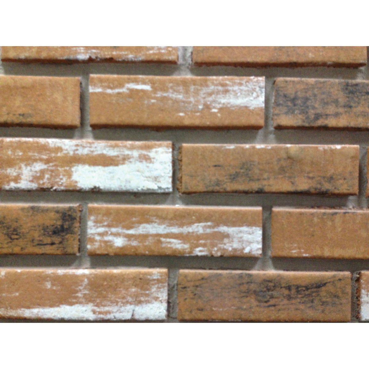 Z-Brick Inca 2-1/4 In. x 8 In. Old Chicago Facing Brick