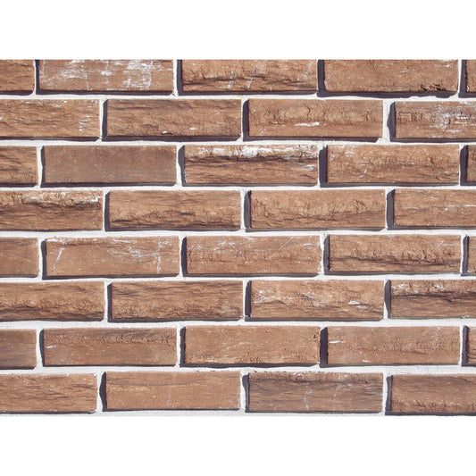 Z-Brick 2-1/4 In. x 8 In. Mesa Beige Design Image Facing Brick