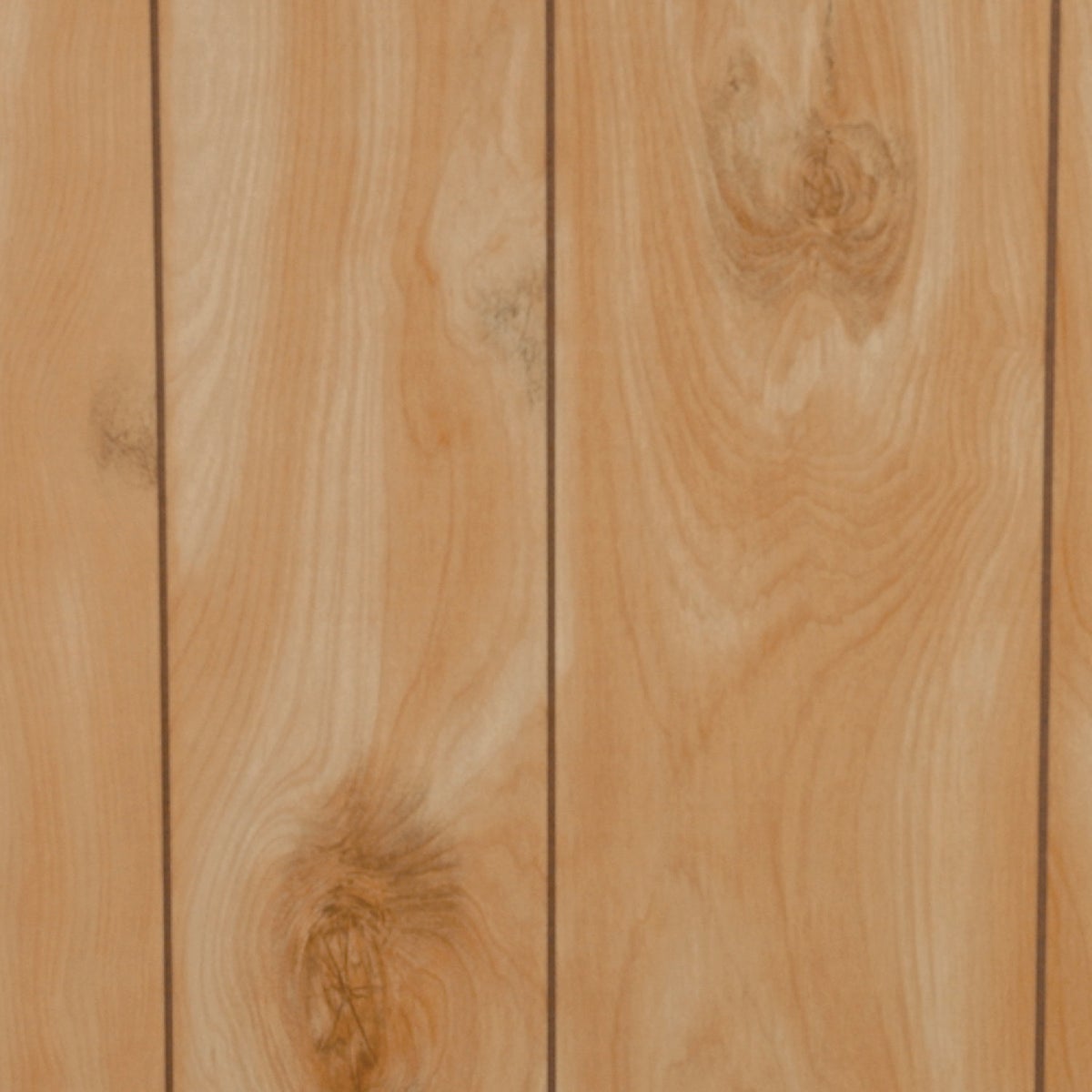 DPI 4 Ft. x 8 Ft. x 1/8 In. Honey Birch Woodgrain Wall Paneling