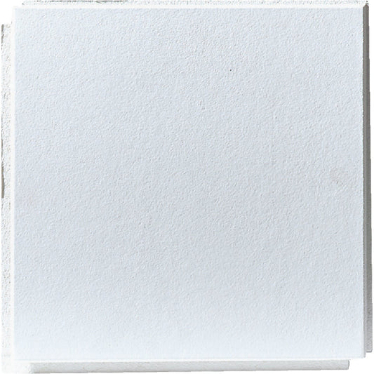 BP Silencio Chablis 12 In. x 12 In. White Wood Fiber Nonsuspended Ceiling Tile (32-Count)