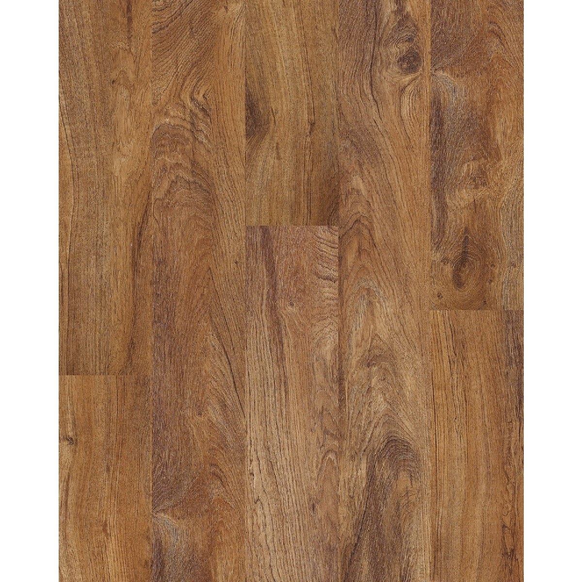 Array Signal Mountain, Mountain Trails 6 In. W x 48 In. L Vinyl Floor Plank (27.58 Sq. Ft./Case)