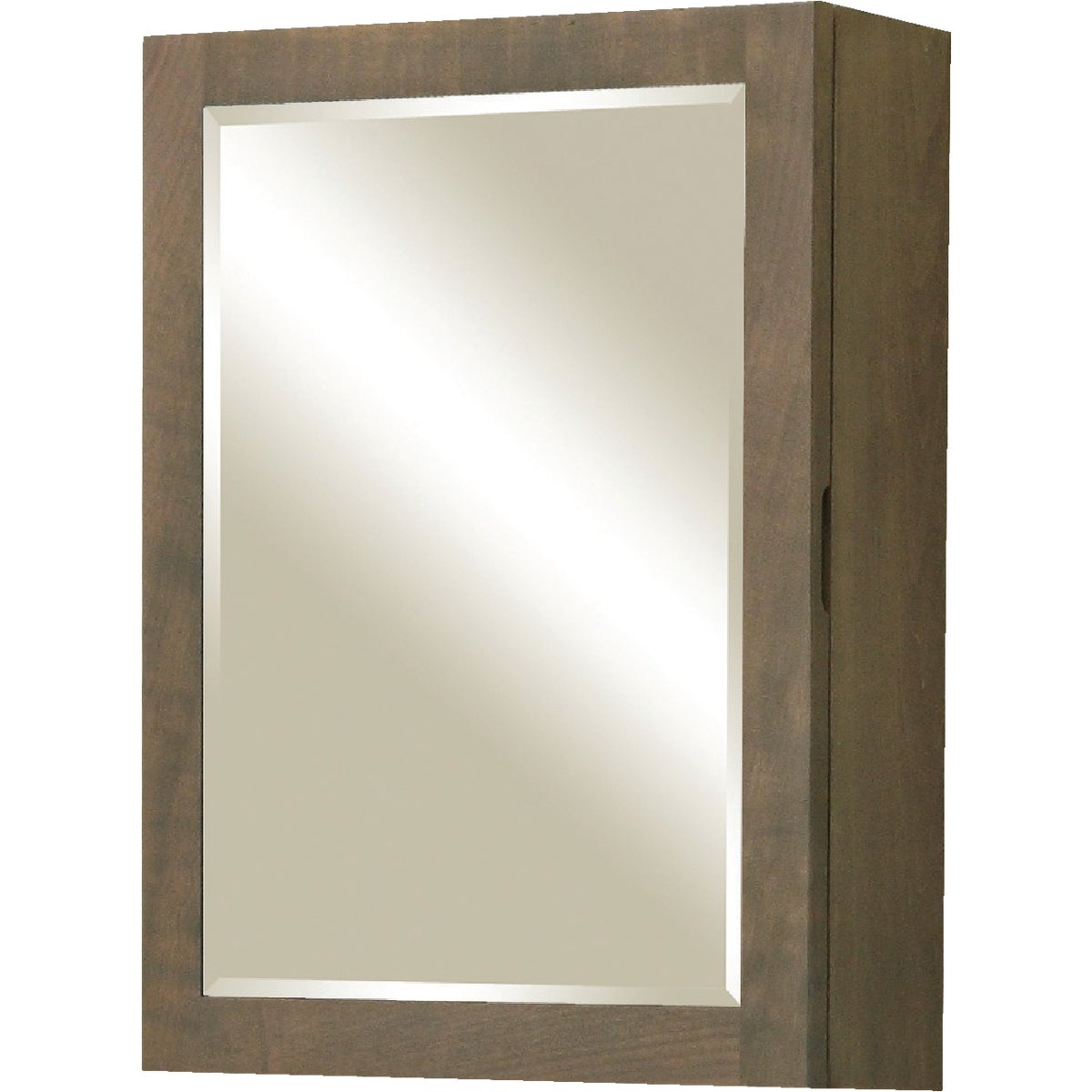 Sunny Wood Aiden Designer Taupe 20 In. W x 26 In. H x 6 In. D Single Mirror Surface Mount Medicine Cabinet