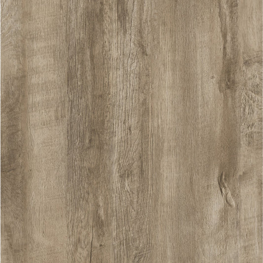 Balterio Right Step Senator Ranch Oak 7.5 In. W x 49.65 In. L Laminate Flooring (25.85 Sq. Ft./Case)