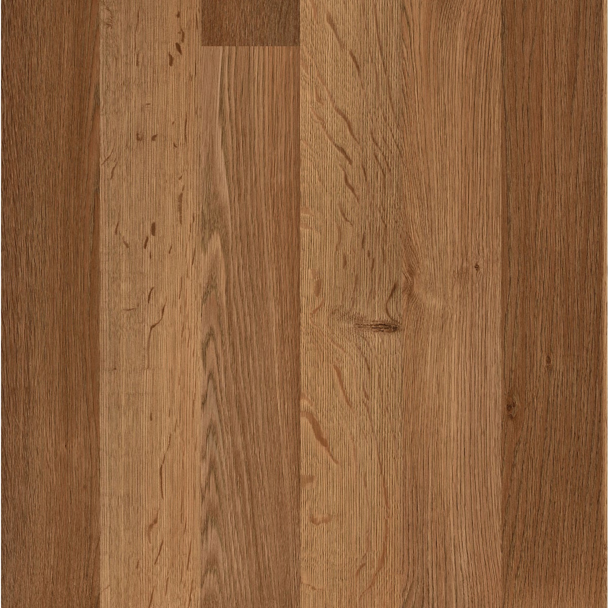 Balterio Right Step Senator Universal Oak 7.5 In. W x 49.65 In. L Laminate Flooring (25.85 Sq. Ft./Case)