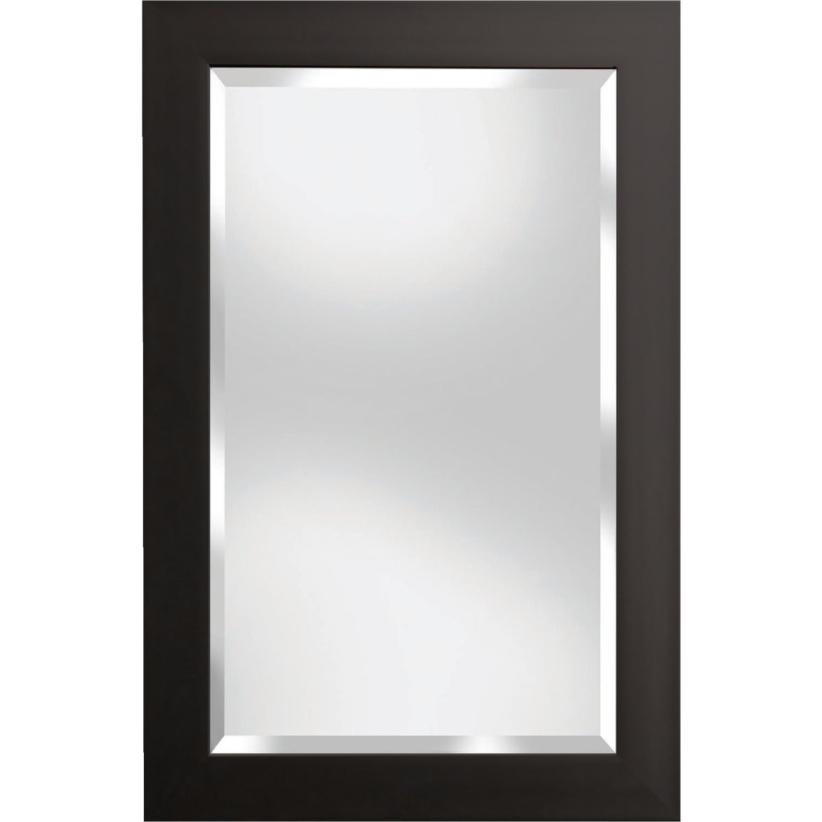 Renin Austin Black 24 In. W x 36 In. H Vanity Mirror