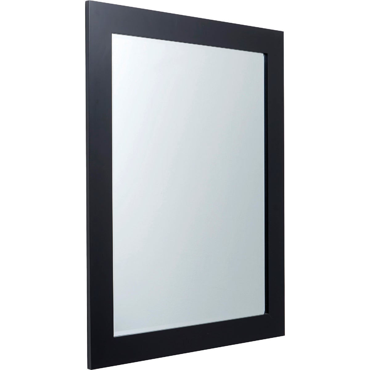 Renin Austin Black 24 In. W x 36 In. H Vanity Mirror