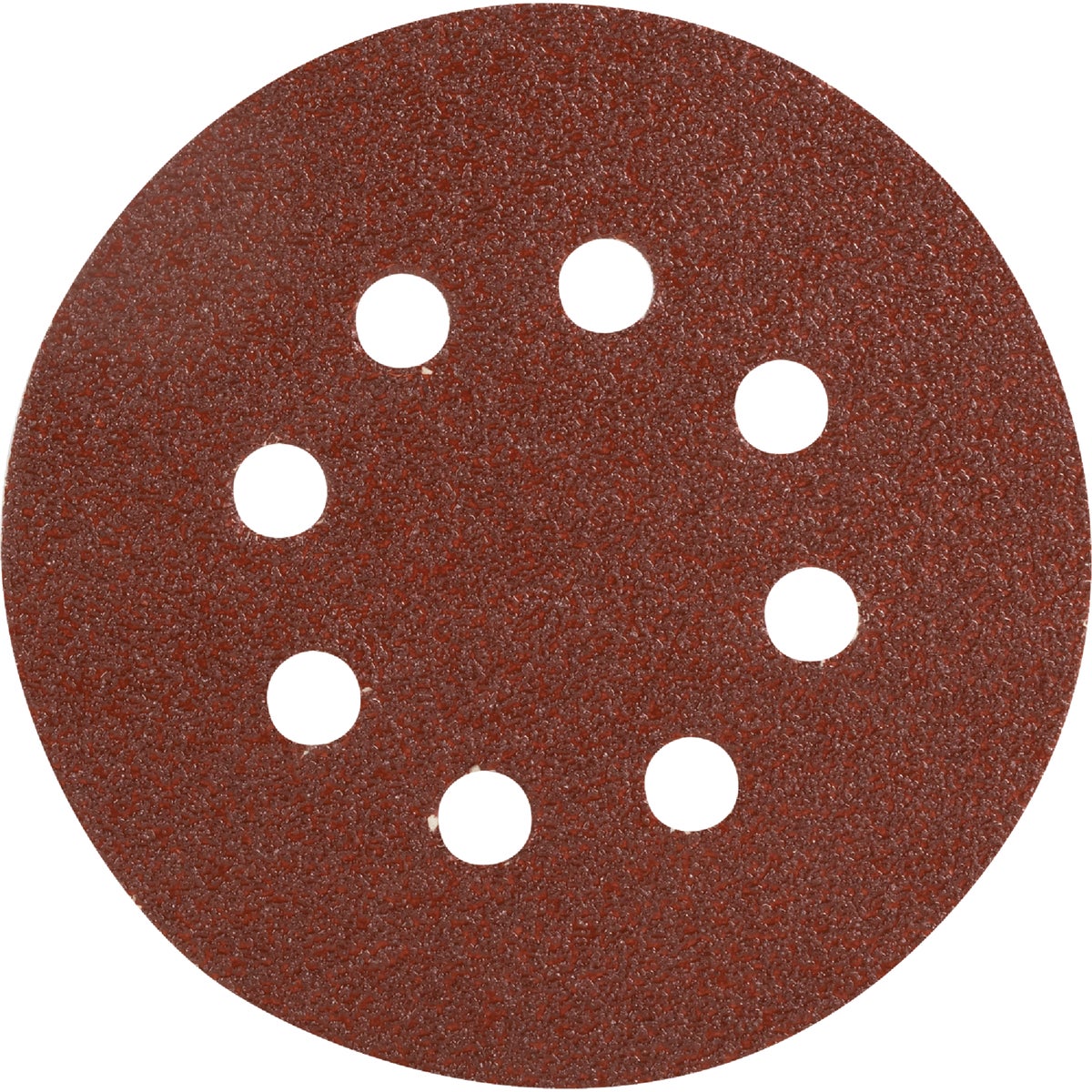 Do it Best 5 In. 60-Grit 8-Hole Pattern Vented Sanding Disc with Hook & Loop Backing (50-Pack)