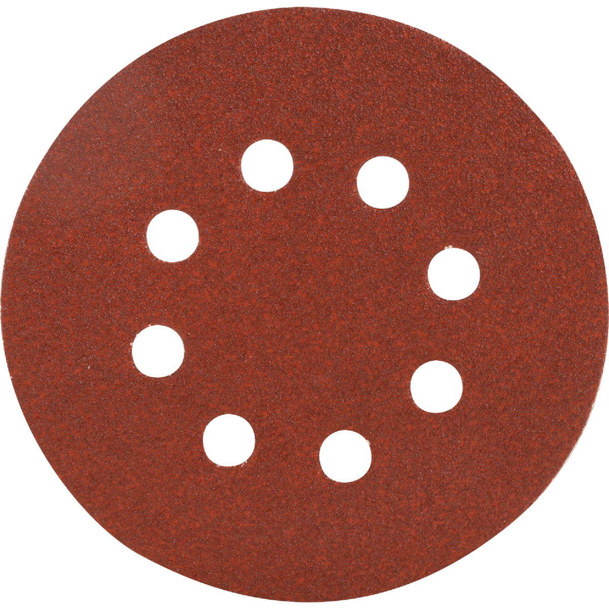 Do it Best 5 In. 80-Grit 8-Hole Pattern Vented Sanding Disc with Hook & Loop Backing (50-Pack)