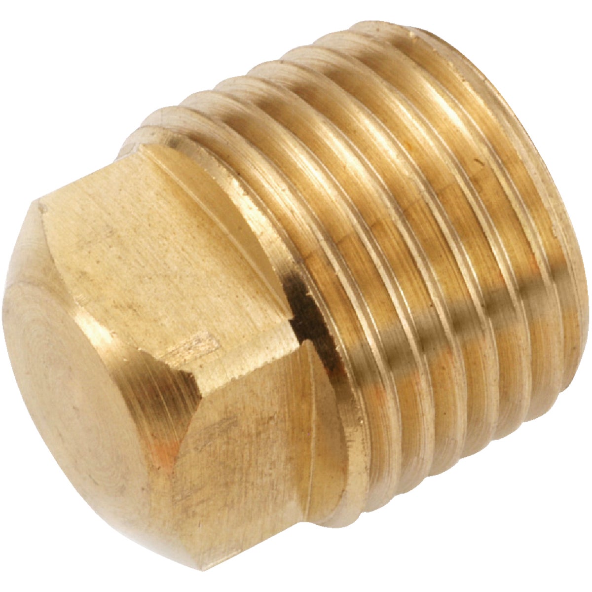 Anderson Metals 1/8 In. Yellow Brass Square Head Square Plug