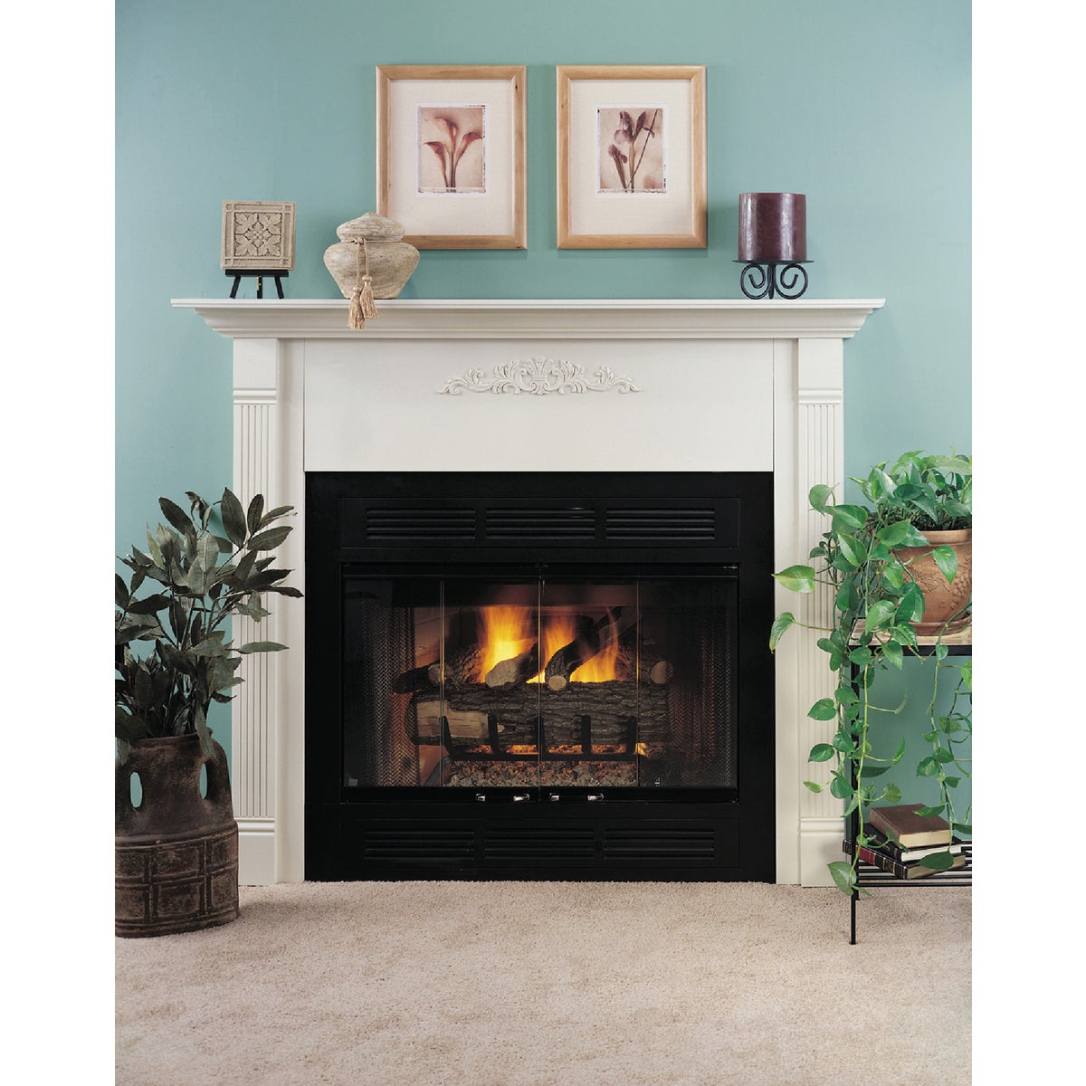 Comfort Flame Woodburning 42" 48" Wood-Burning Firebox