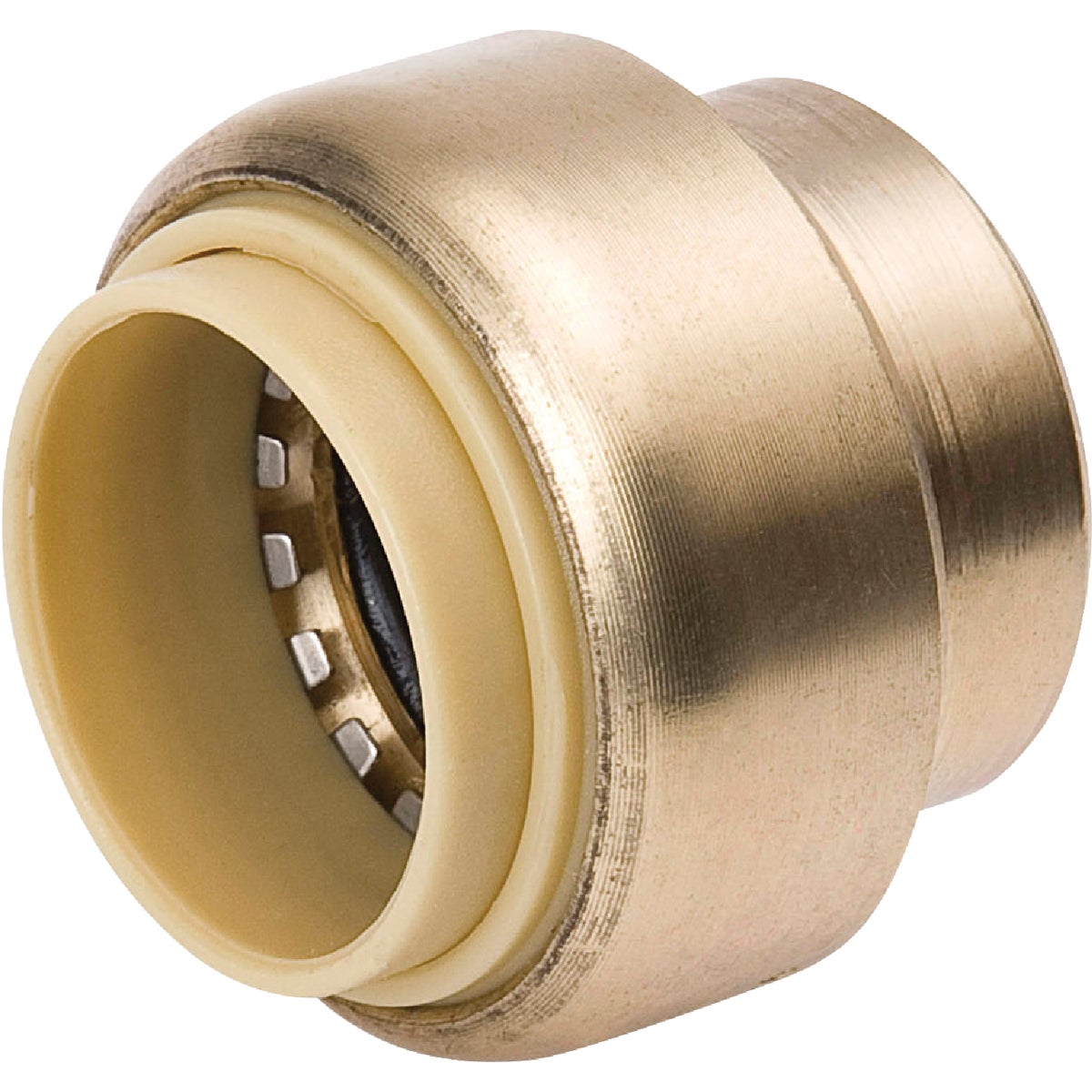 ProLine 1 In. Brass Push Fit Cap