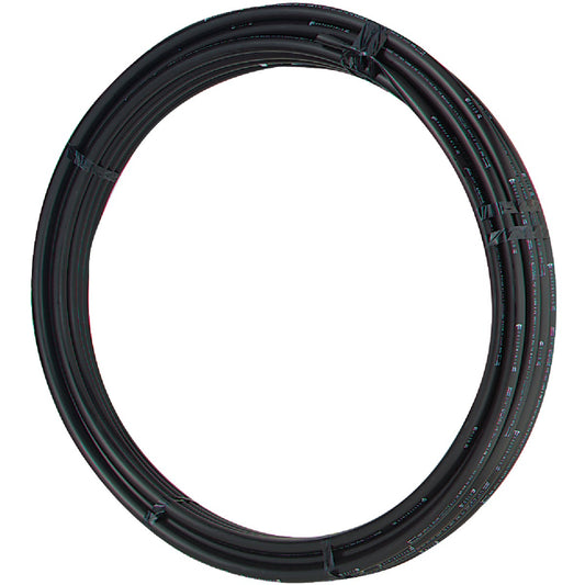 Advanced Drainage Systems 1-1/4 In. x 300 Ft. IPS HD160 (SIDR-11.5) NSF Polyethylene Pipe