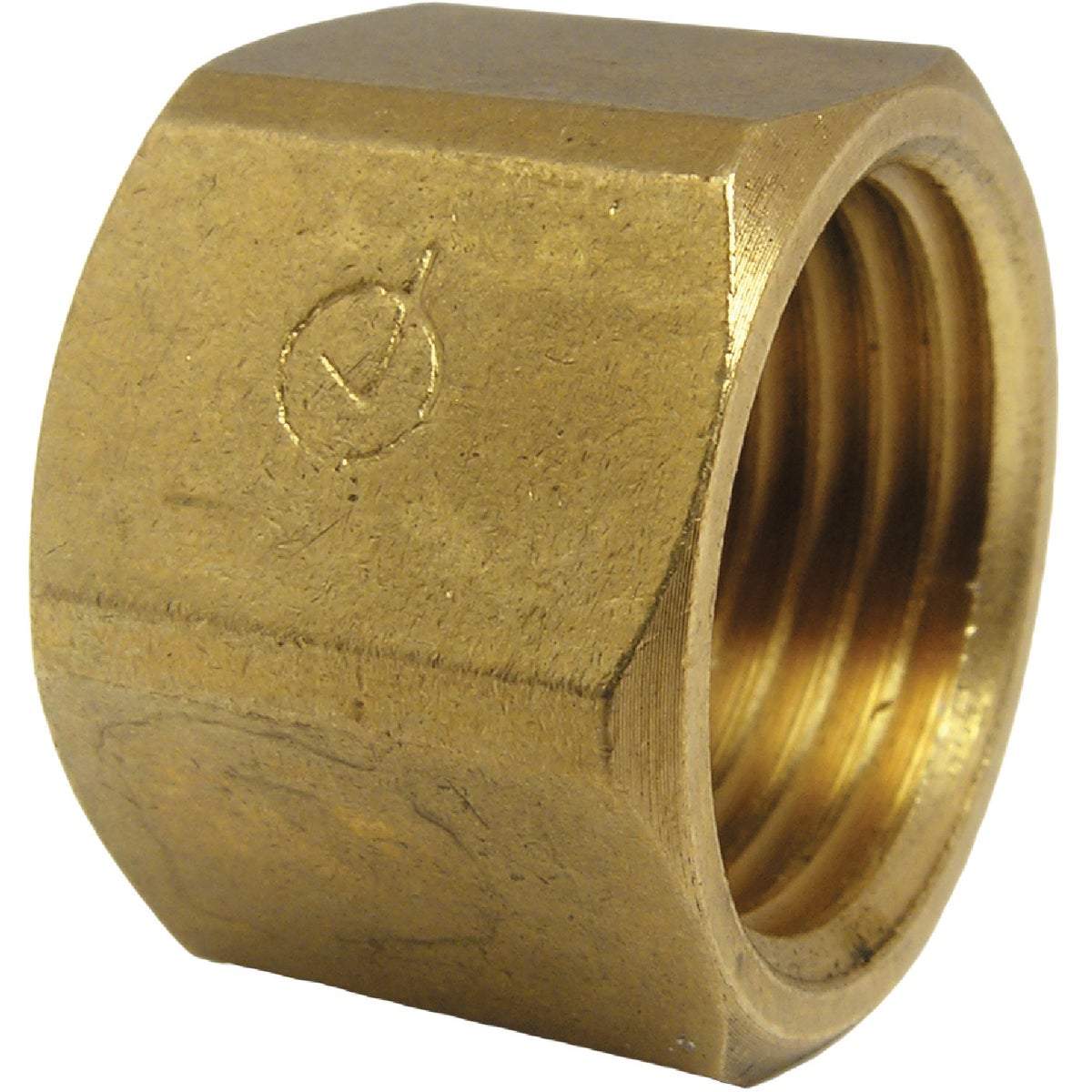 Lasco 1/2 In. Red Brass Threaded Pipe Cap