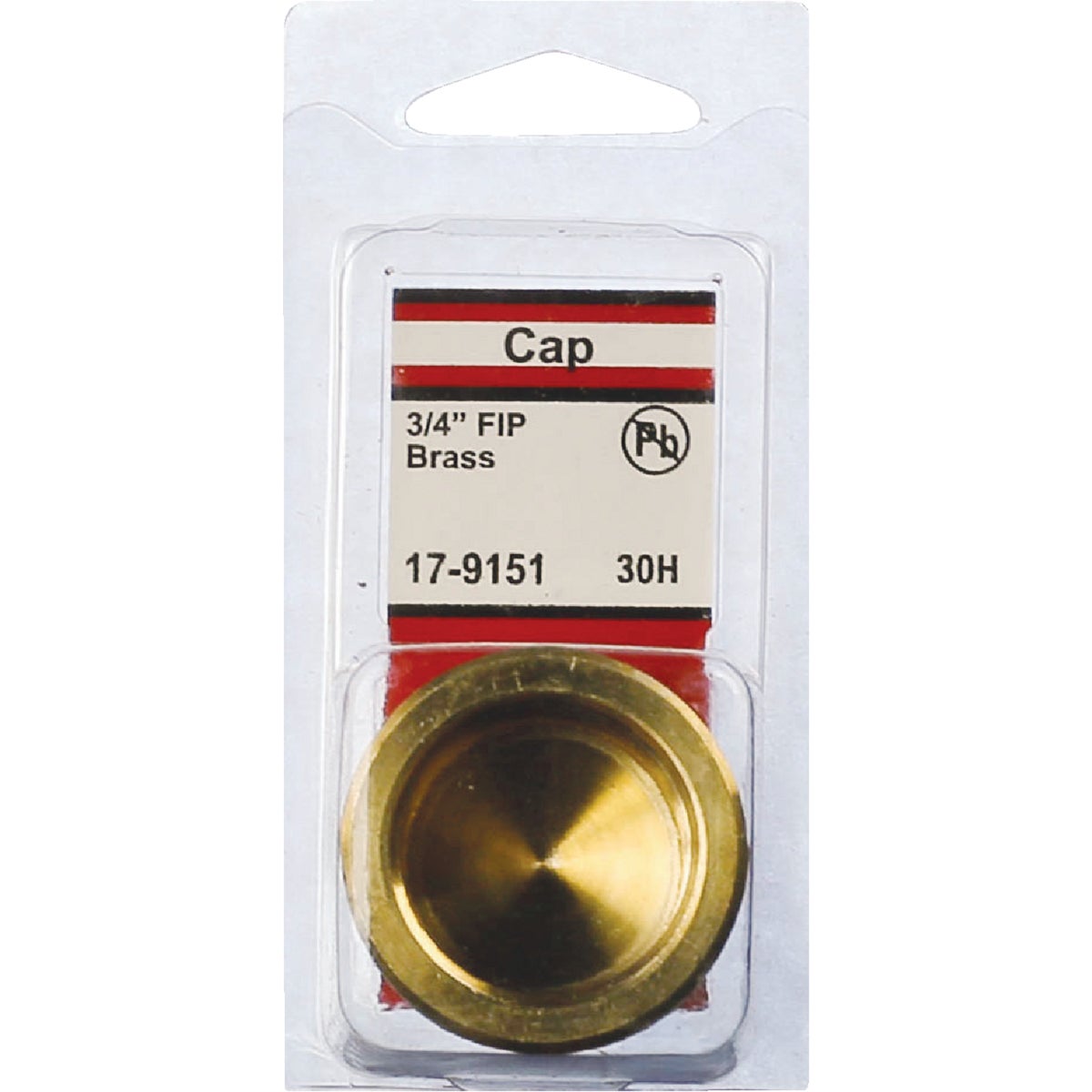 Lasco 3/4 In. Red Brass Threaded Pipe Cap