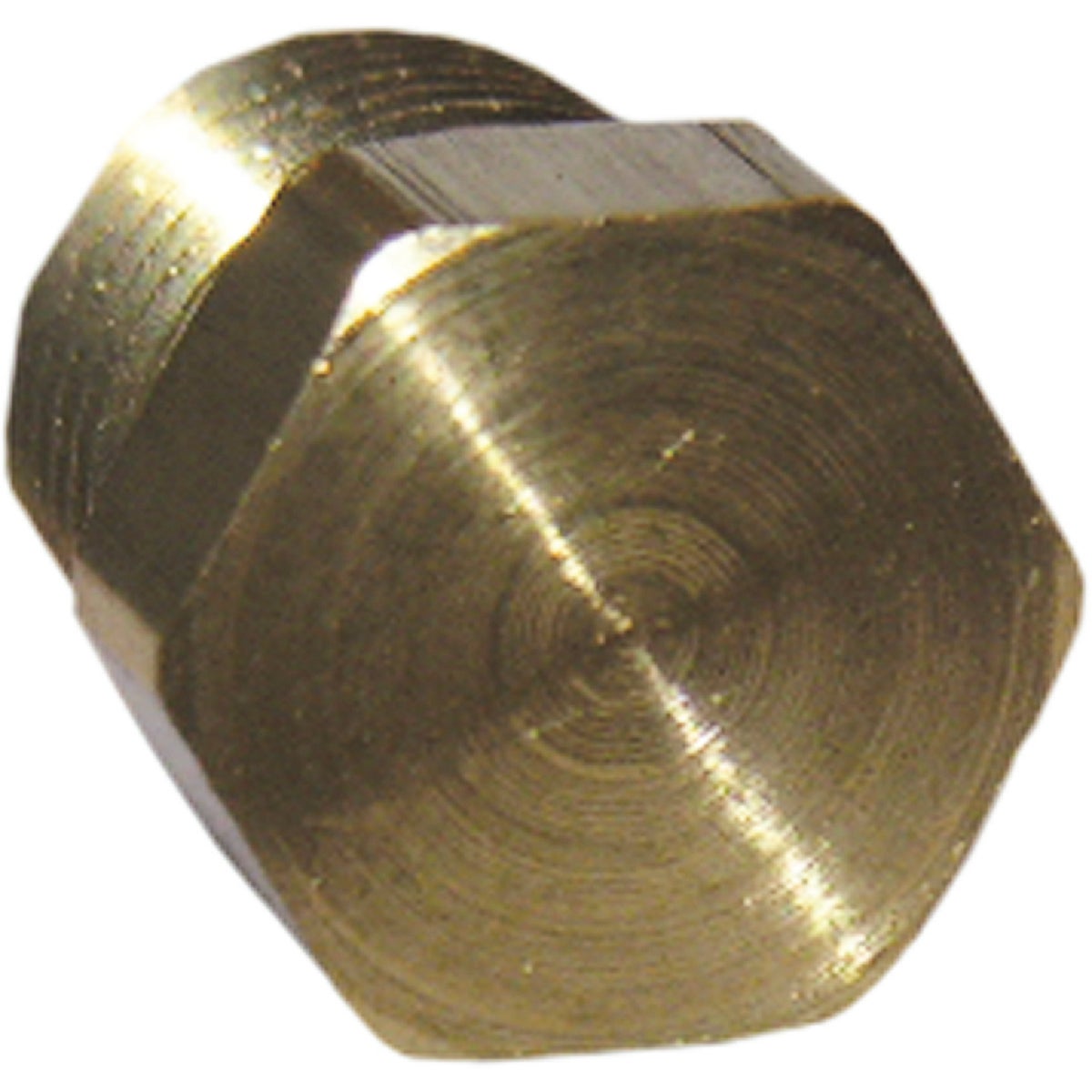 Lasco 1/8 In. MPT Brass Hex Head Plug