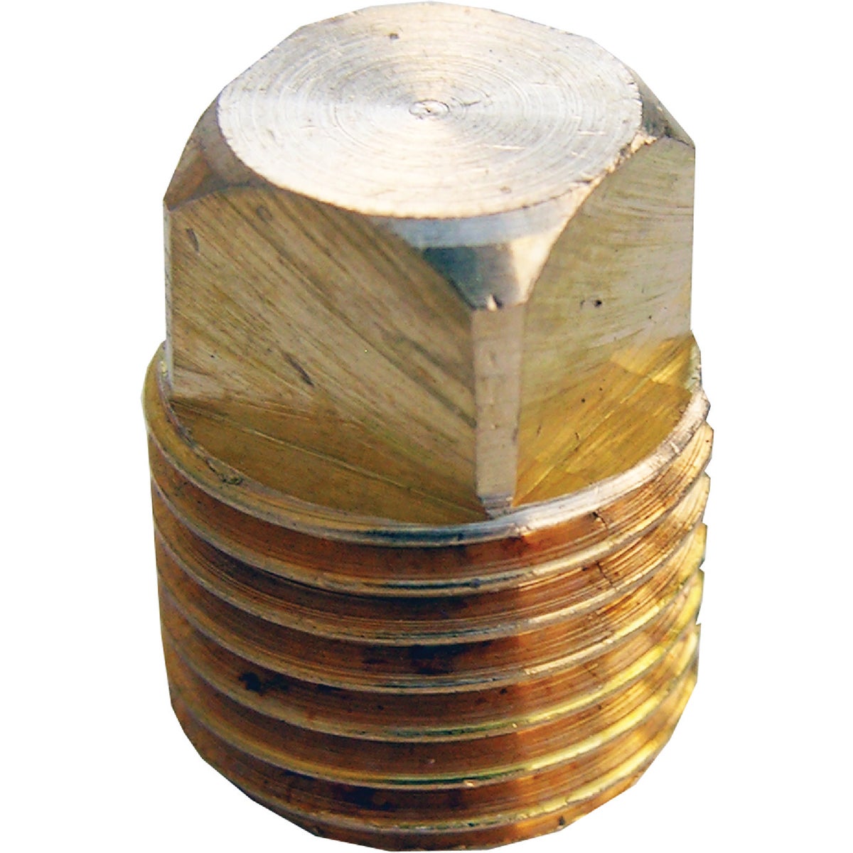 Lasco 1/4 In. MPT Brass Square Head Plug