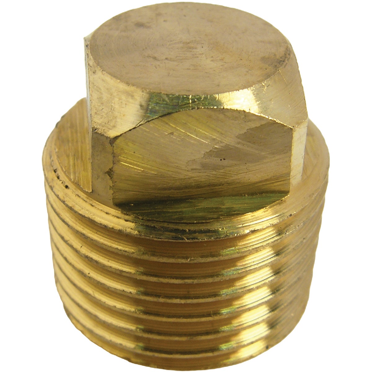 Lasco 1/2 In. MPT Brass Square Head Plug