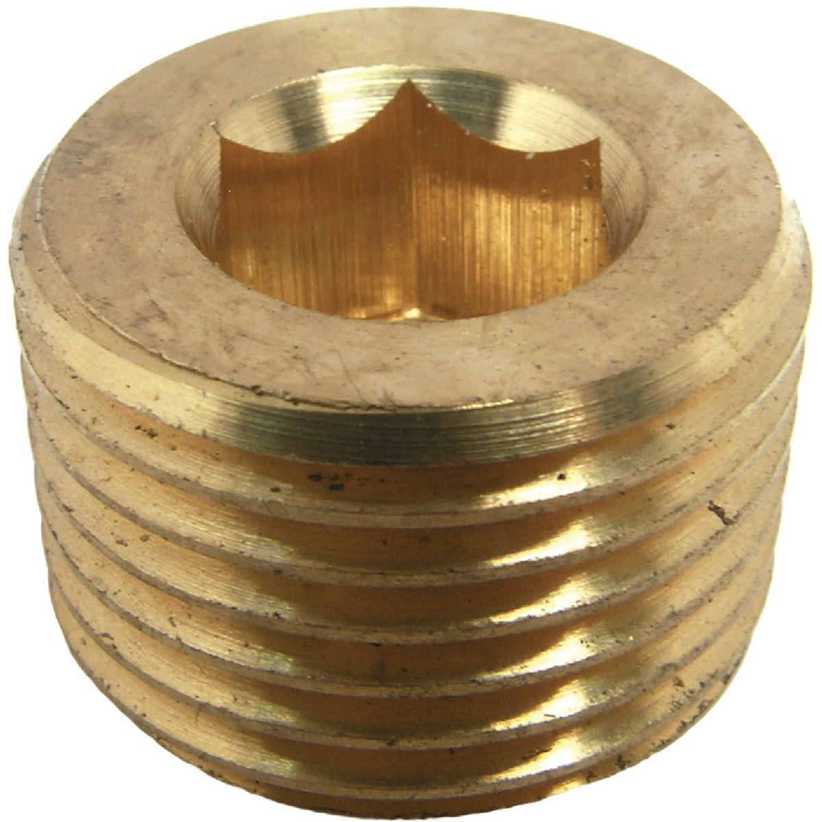 Lasco 1/2 In. MPT Brass Countersunk Plug