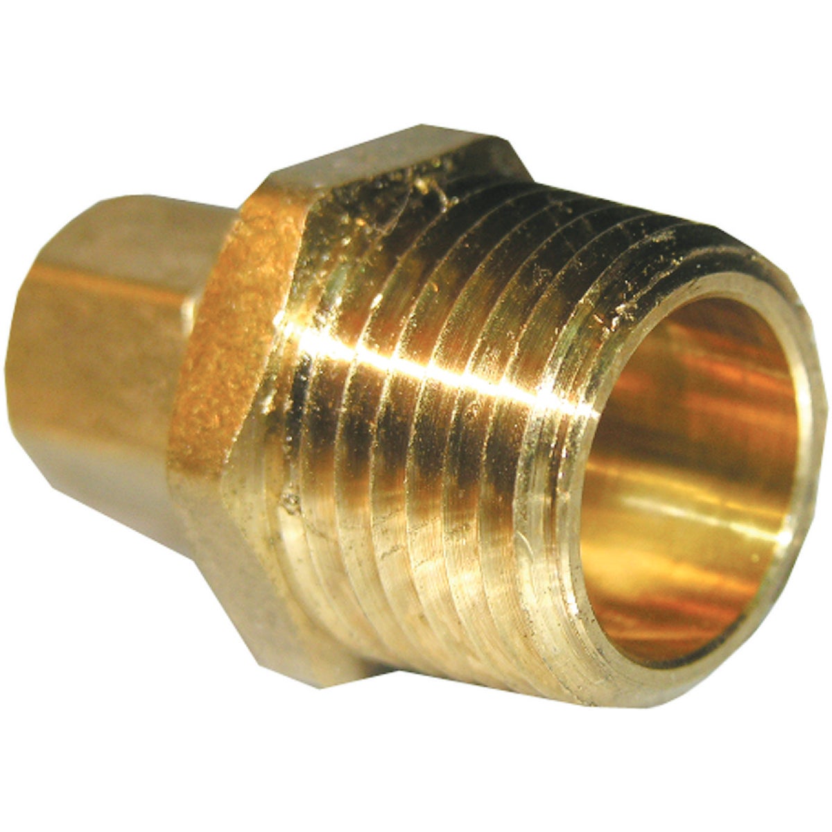 Lasco 5/16 C x 1/4 In. MPT Brass Compression Adapter