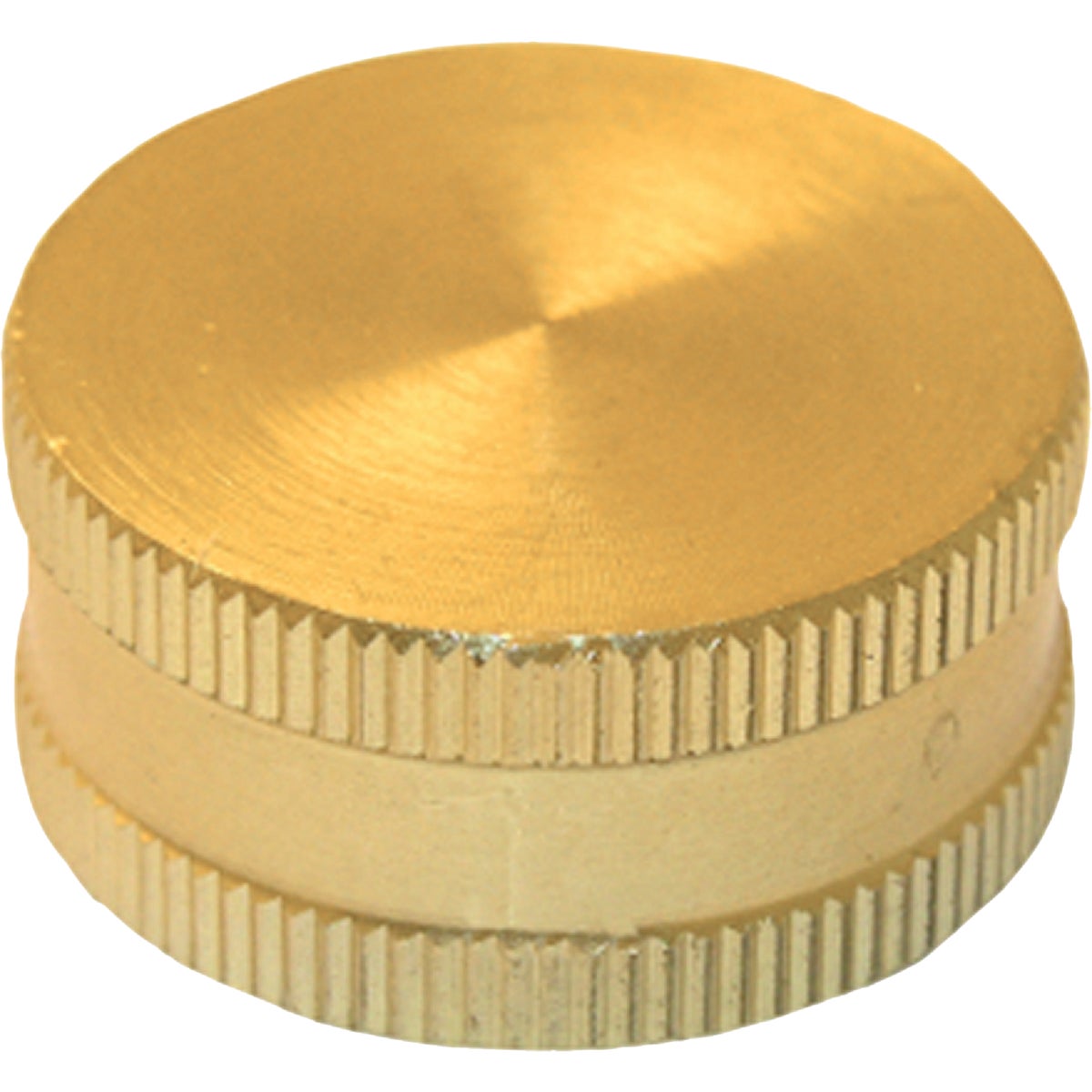 Lasco 3/4 In. FHT Brass Hose Cap