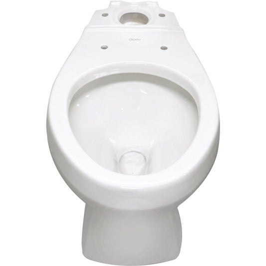 Cato Terra White Elongated ADA 17 In. Toilet Bowl