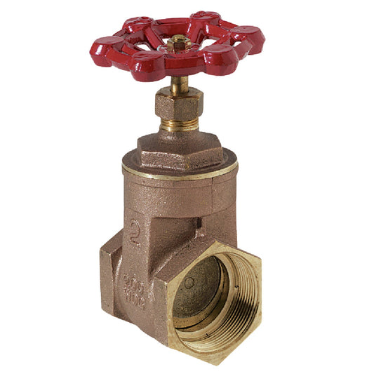 ProLine 2 In. FIPS x 2 In. FIPS Brass Cast Iron Gate Valve