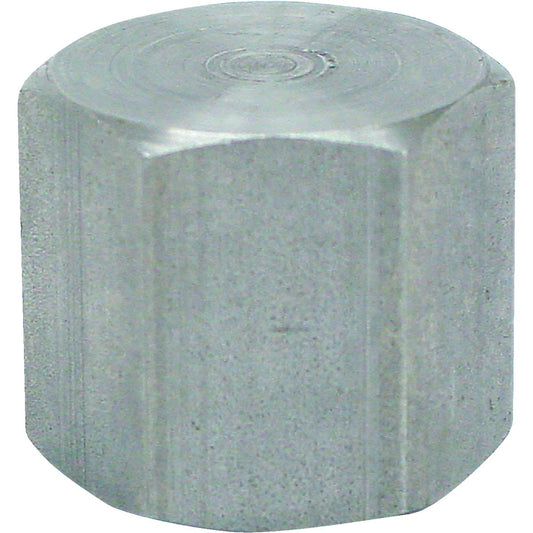 Anvil 1/4 In. Malleable Iron Galvanized Cap