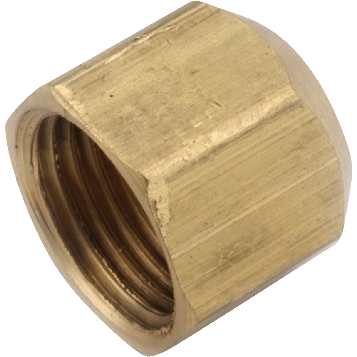 Anderson Metals 5/8 In. Brass Flare Cap