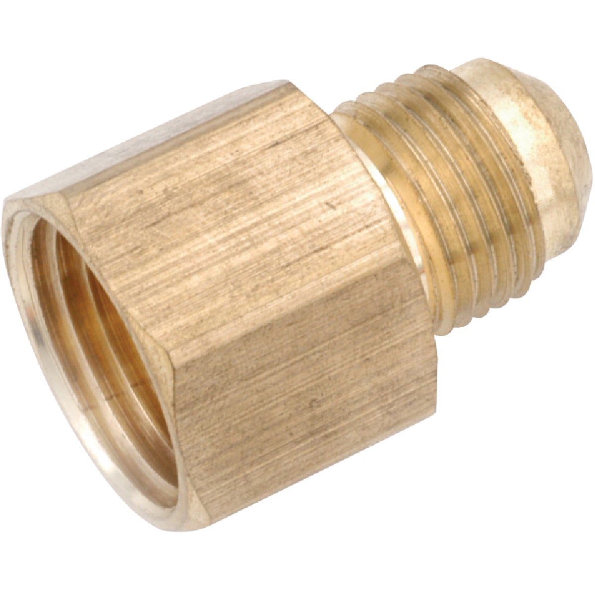 Anderson Metals 1/2 In. x 3/8 In. Brass Low Lead Female Flare Connector