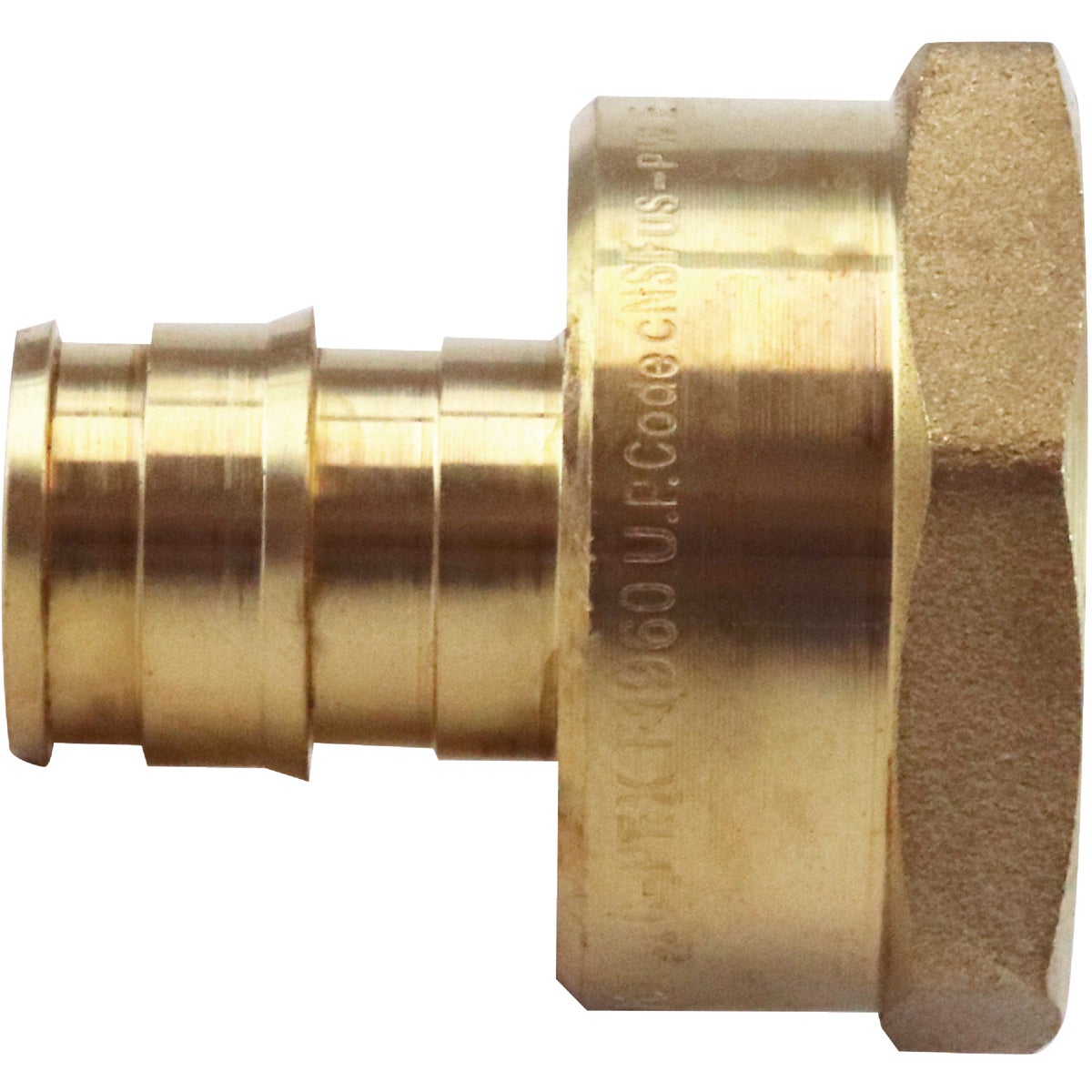 Apollo Retail 1/2 In. Barb x 3/4 In. FNPT Reducing Brass PEX Adapter, Type A