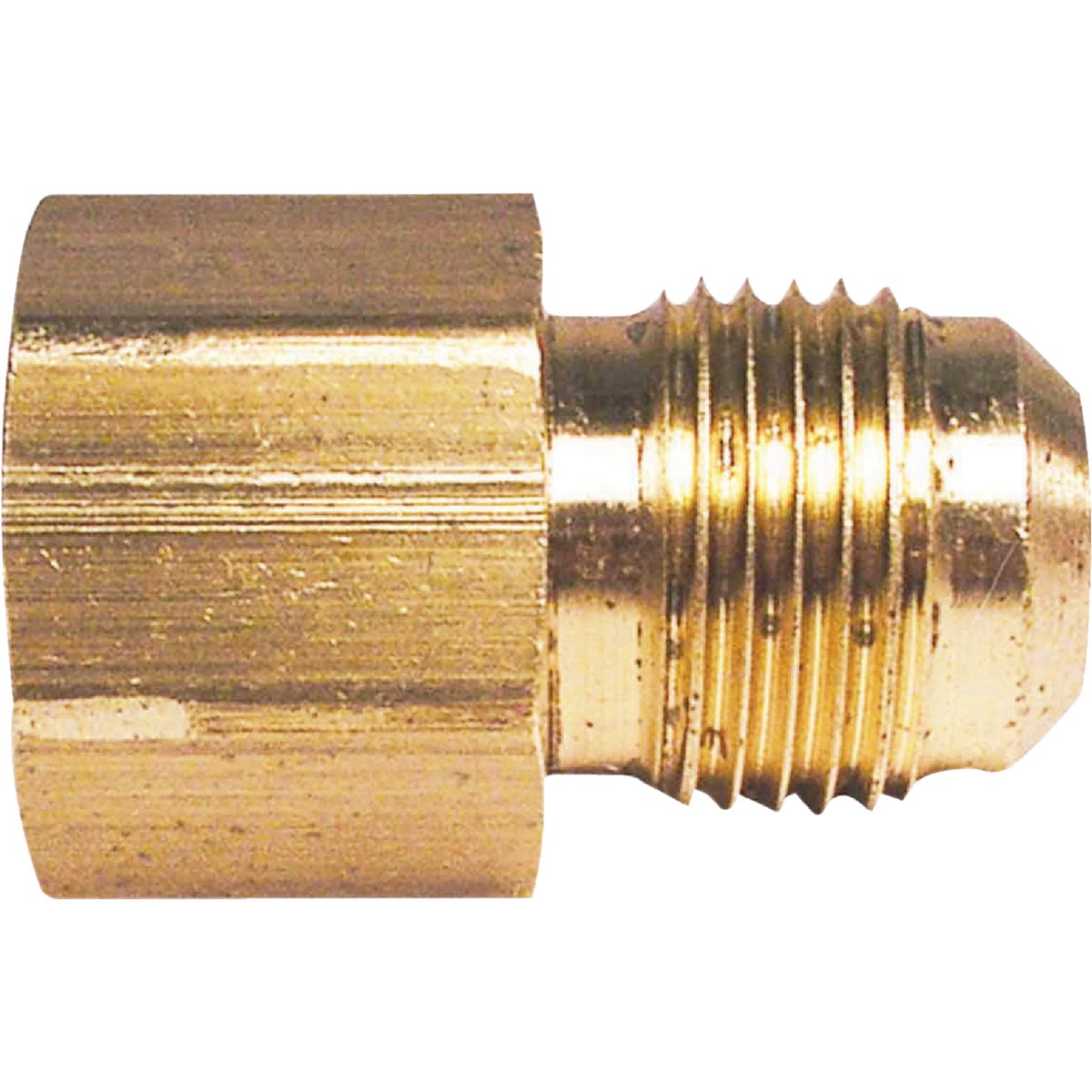 Do it 1/4 In. x 1/4 In. Brass Female Flare Adapter