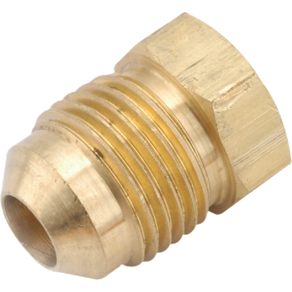 Anderson Metals 1/4 In. Brass Flare Plug