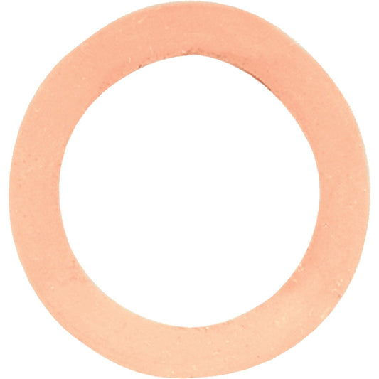 Danco Oval Rubber Hose Washer