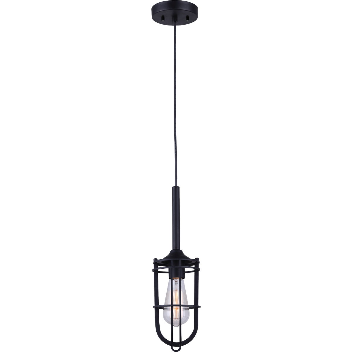 Home Impressions 1-Bulb Black Incandescent Cage Style Pendant Light Fixture