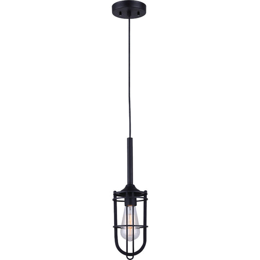 Home Impressions 1-Bulb Black Incandescent Cage Style Pendant Light Fixture