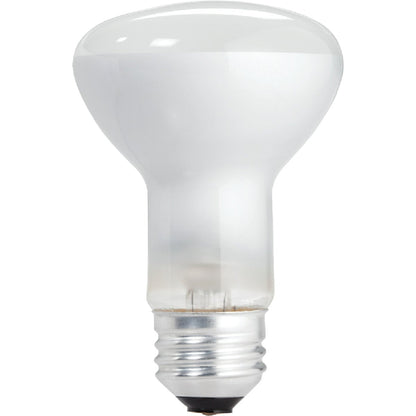 Philips DuraMax 45W Frosted Indoor Medium Base R20 Incandescent Floodlight Light Bulb (3-Pack)