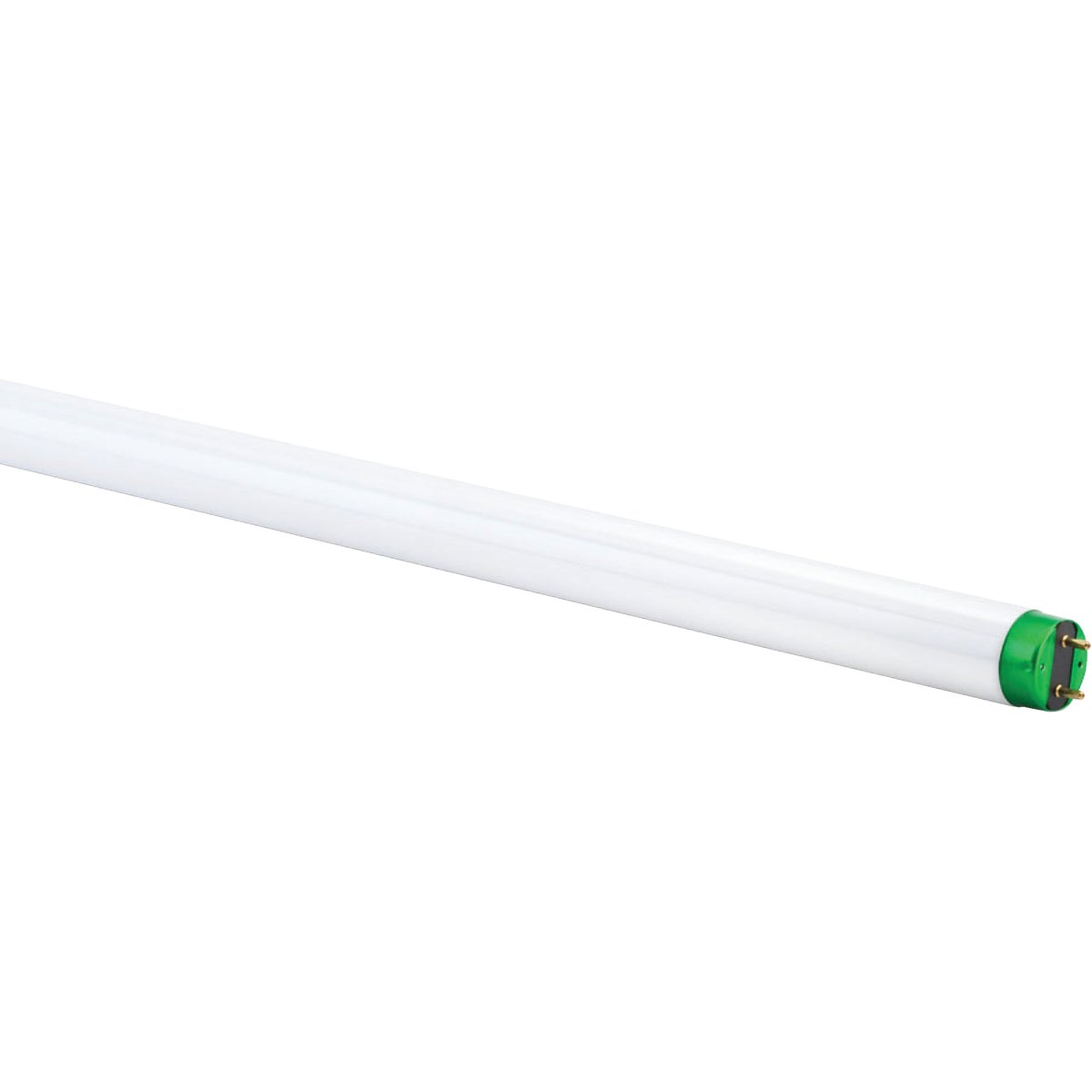 Philips ALTO 32W 48 In. Bright White T8 Medium Bi-Pin Fluorescent Tube Light Bulb (10-Pack)