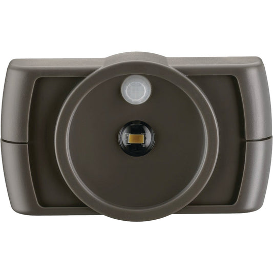 Mr. Beams Brown LED Battery Operated Light