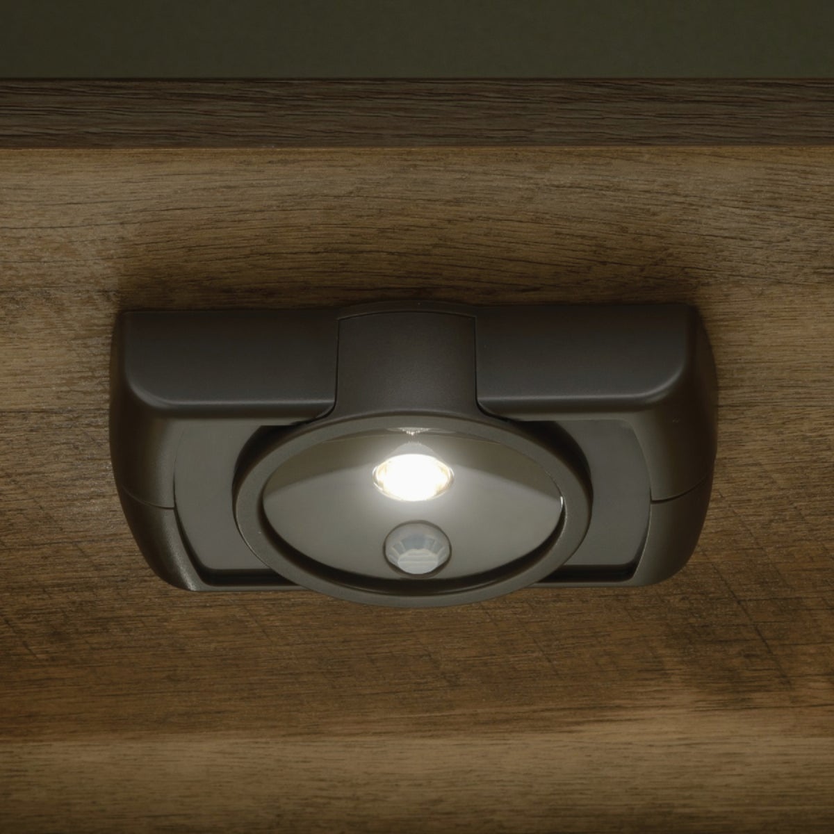 Mr. Beams Brown LED Battery Operated Light